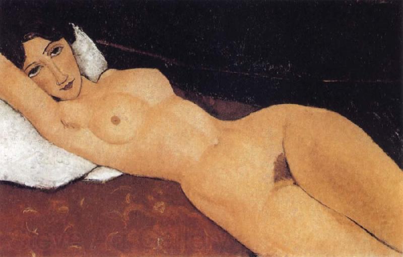 Amedeo Modigliani Reclining Nude on White Pillow Germany oil painting art